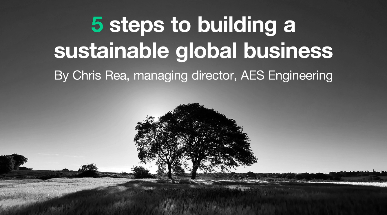 5 steps to building a sustainable global business