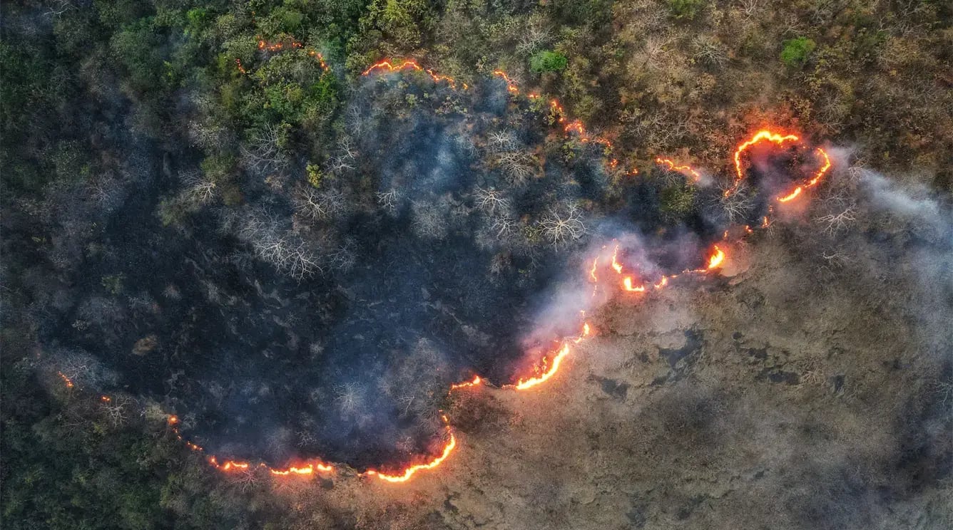 1336x744_aerial-view-of-forest-fire-2026-03-18-09-38-57-utc