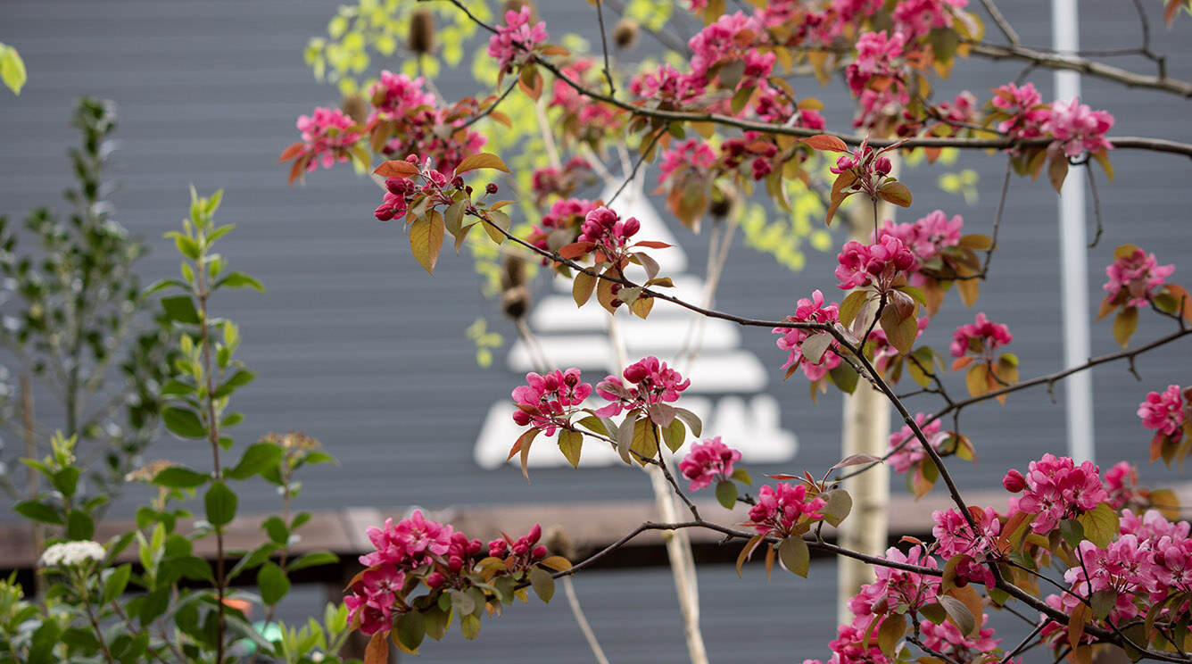 AES-Spring_20240412_0576_1336x744