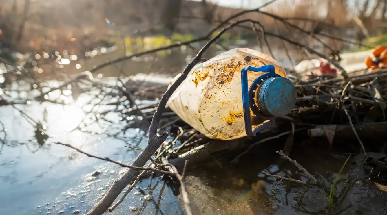 Dirty plastic bottle caught in branches in a river.