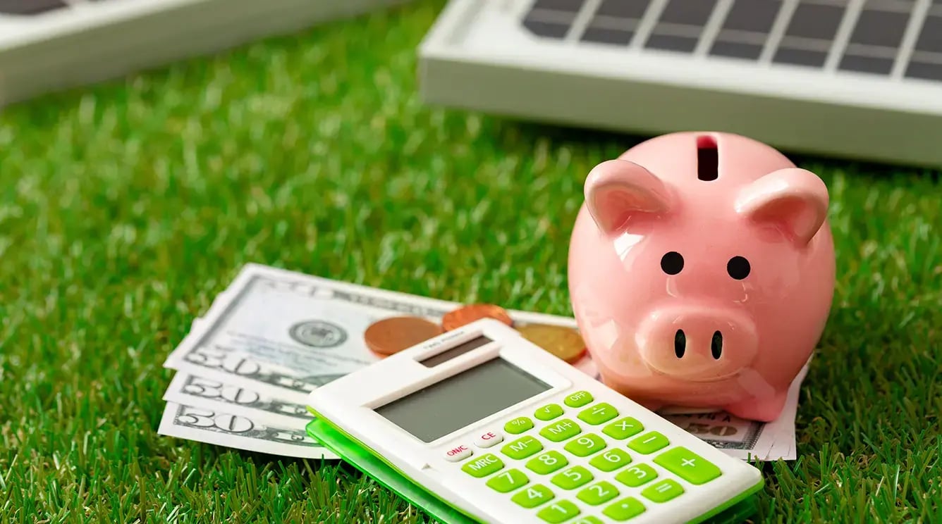 A piggy bank, calculator and bank notes on grass. A piggy bank, calculator and bank notes on grass.