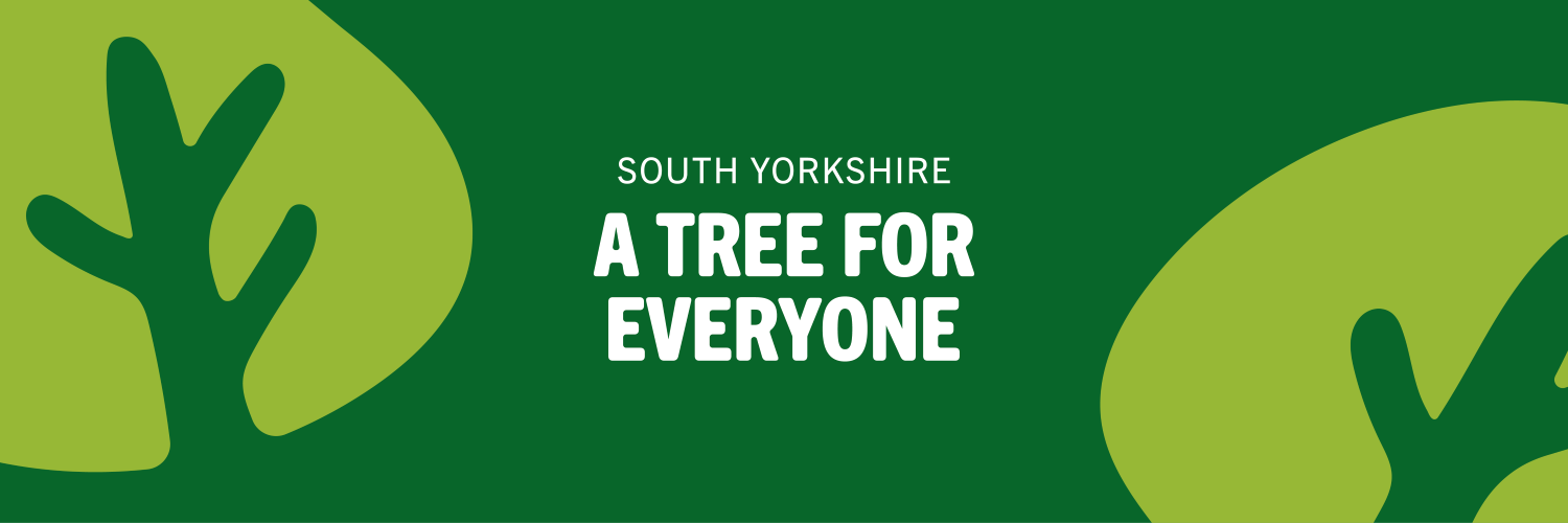 SYMCA_TREES_WEB_BANNER