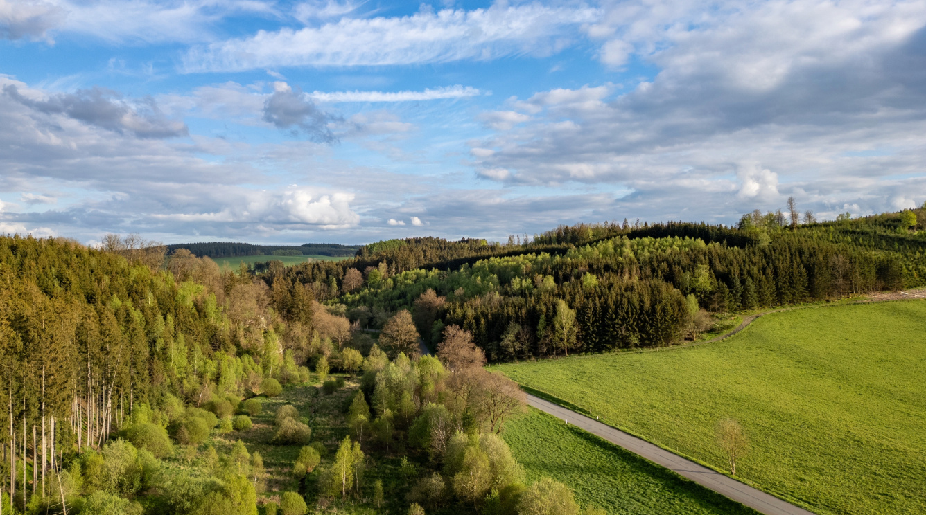 Europes Natural Heritage