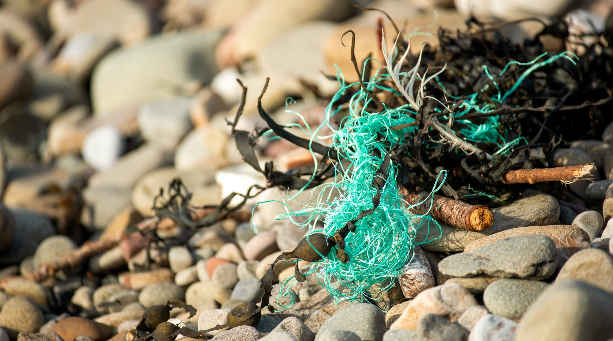 Plastic_1337 Plastic_1337